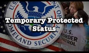 temporary protected status