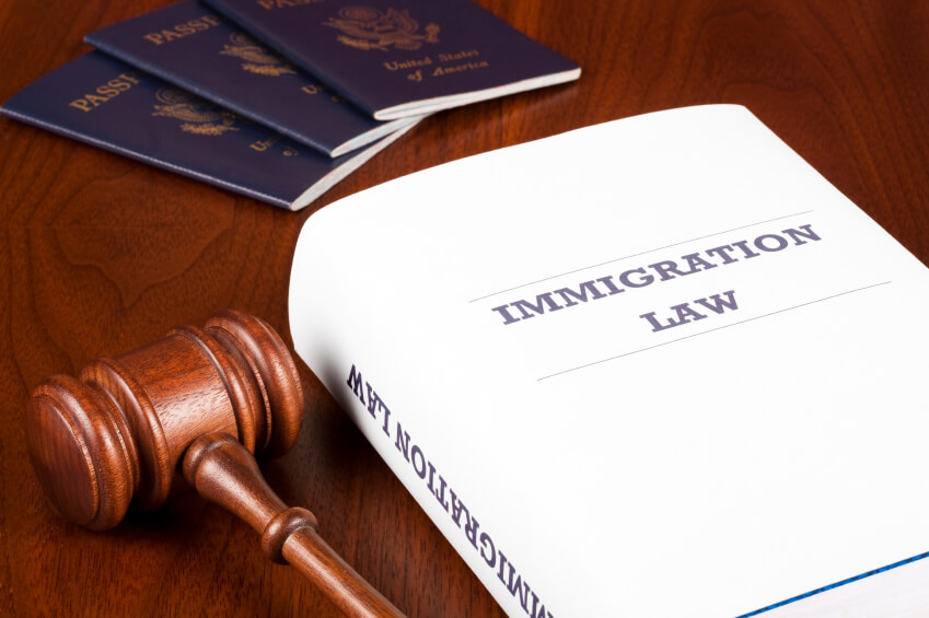 Immigration Law